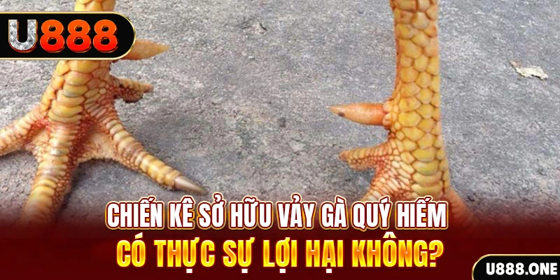88day casino Đăng nhập